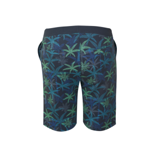 Short navy